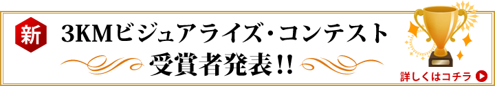 2012ビジュアライズコンテスト受賞者発表